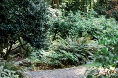 Nature path